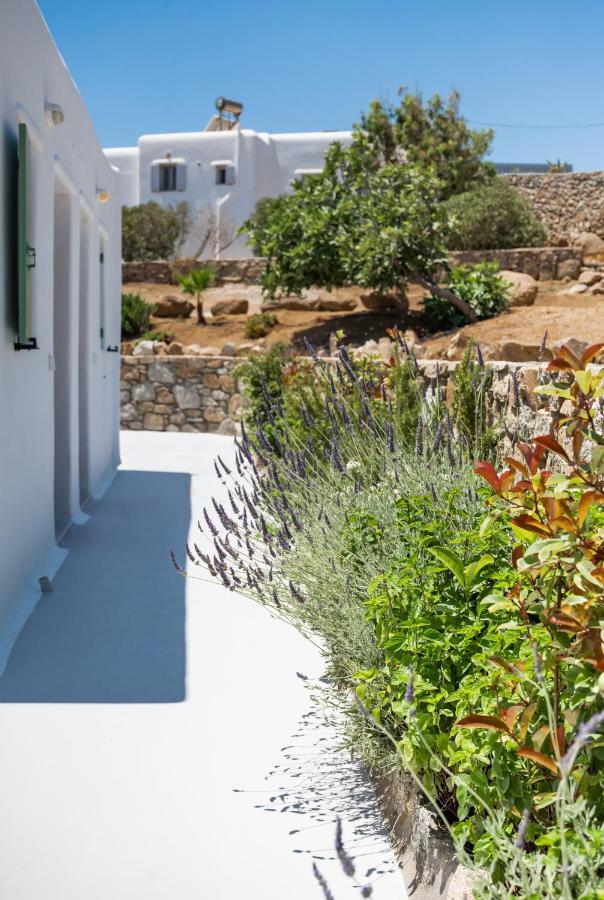 Dioni Villa Mykonos Парага Екстер'єр фото